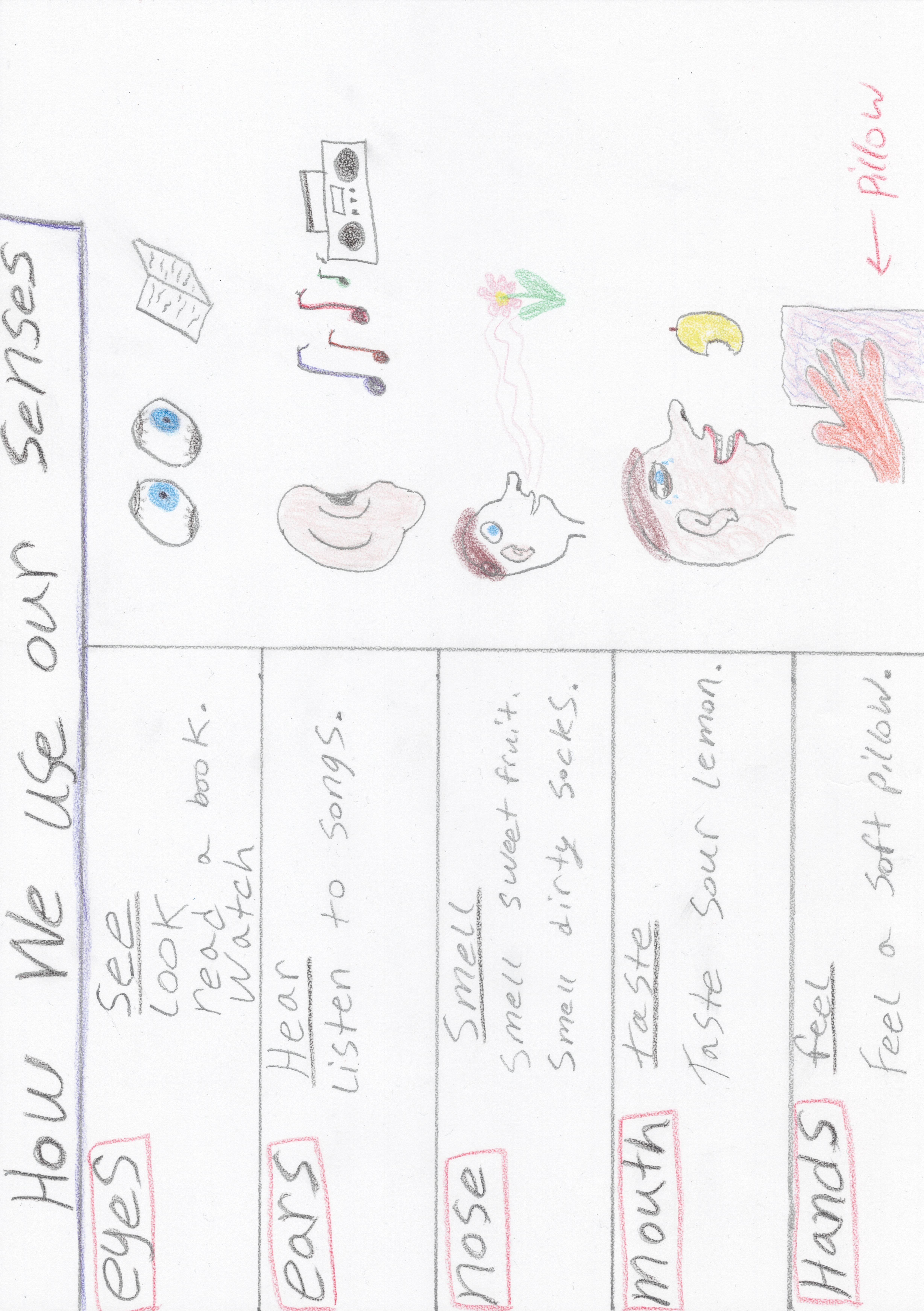 How we use our Senses