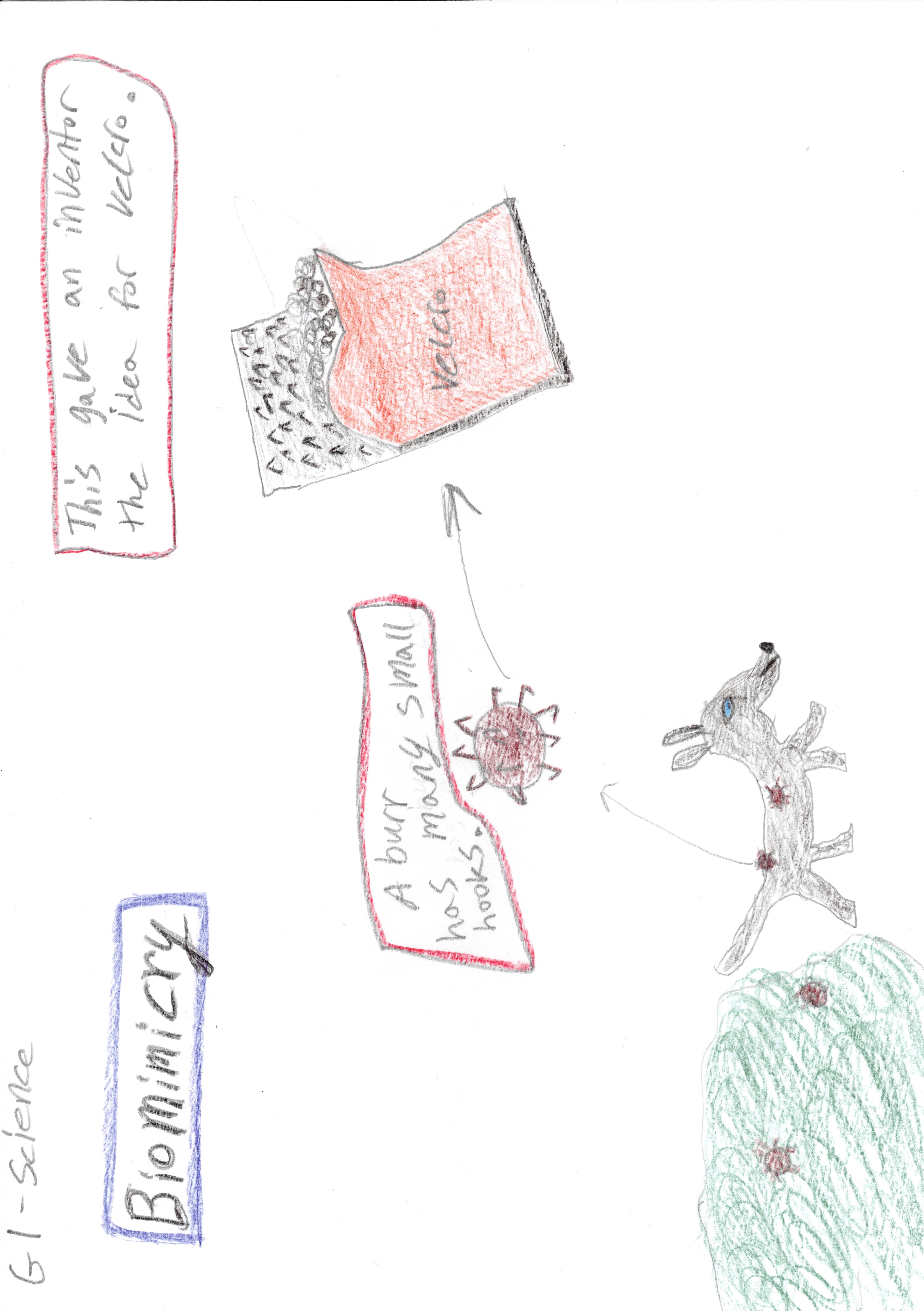 Inventions that mimic Nature