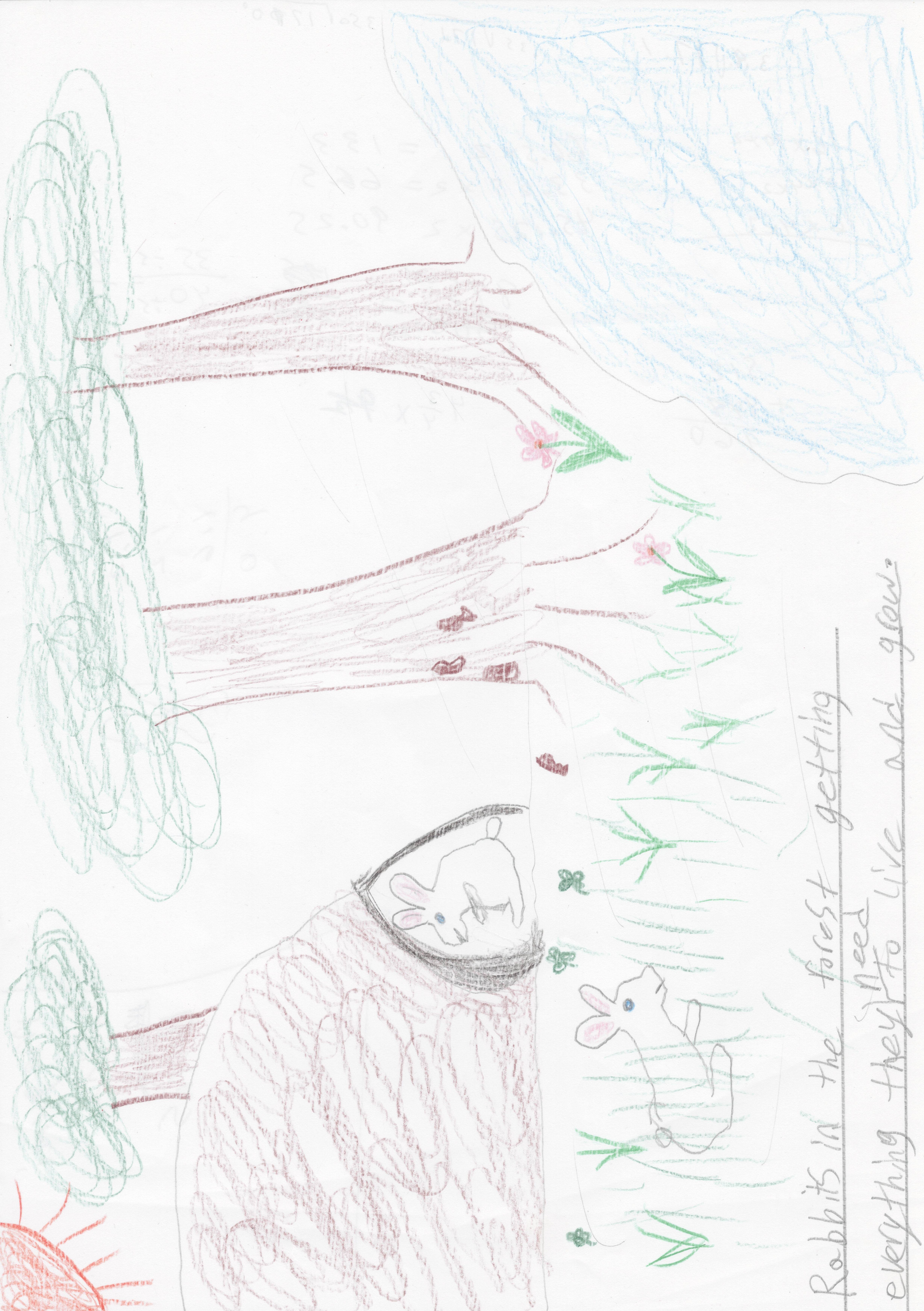 How animals get What they need to live and grow?