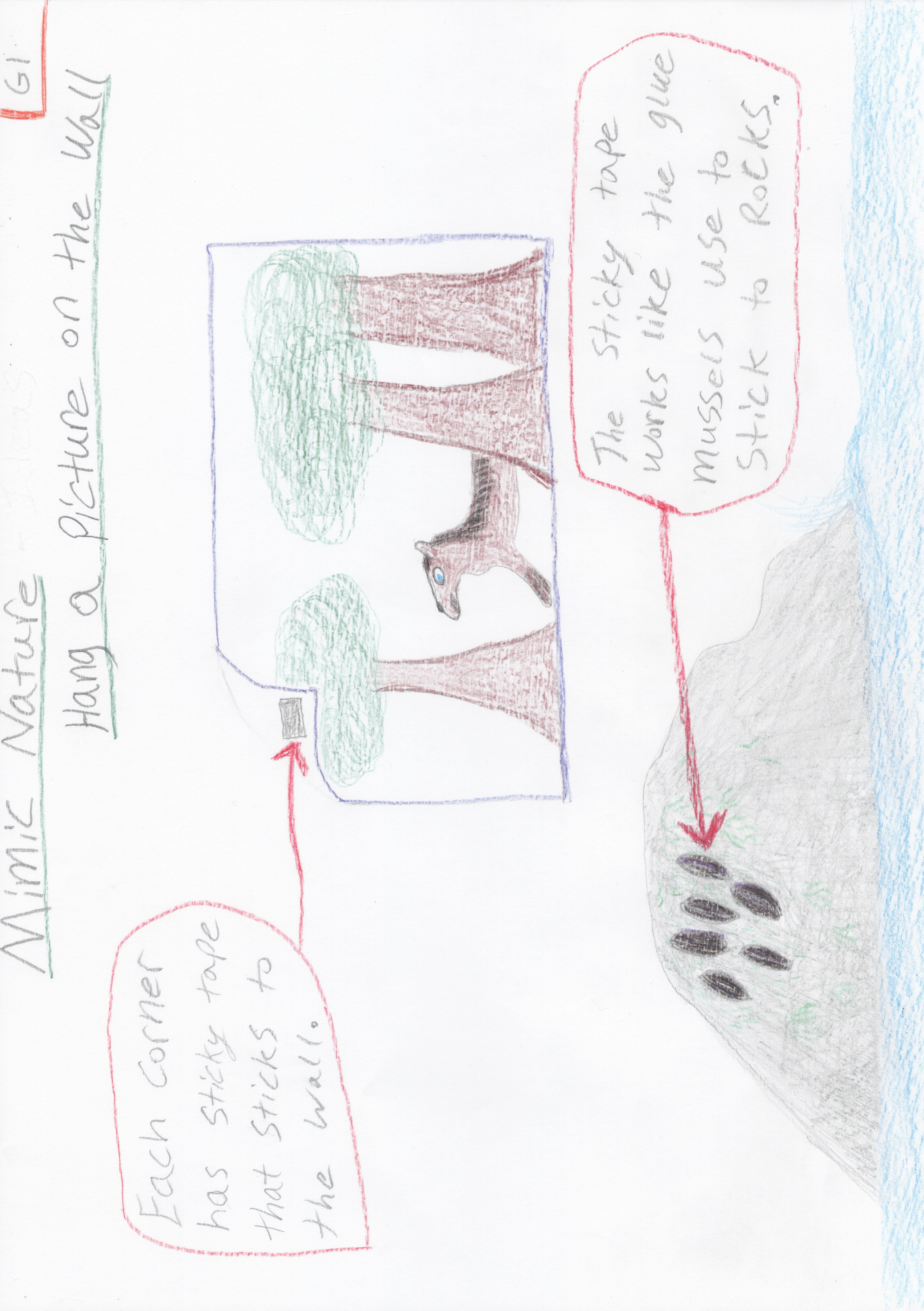 Mimic Animal parts Example 2