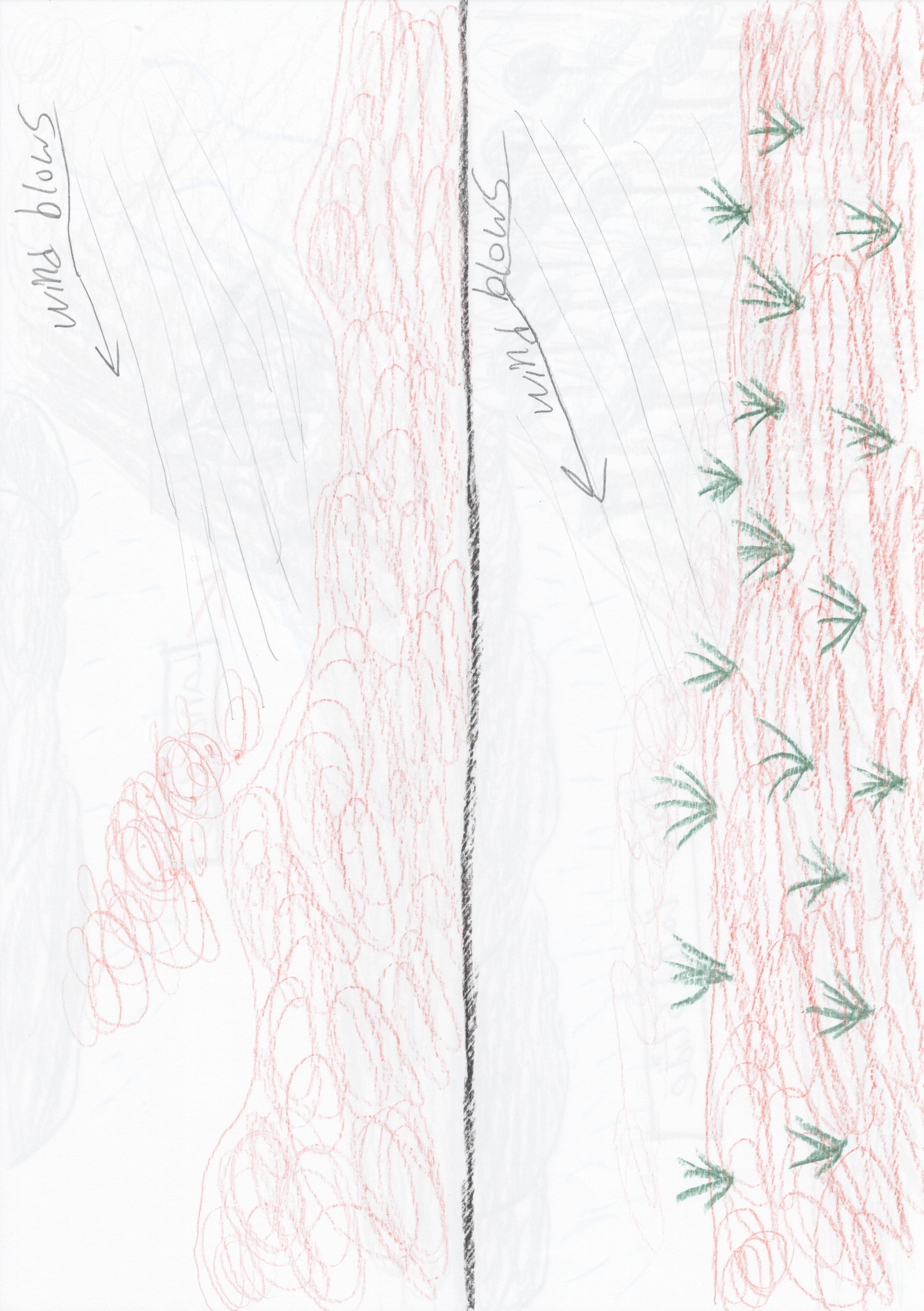 Prevent Wind Erosion