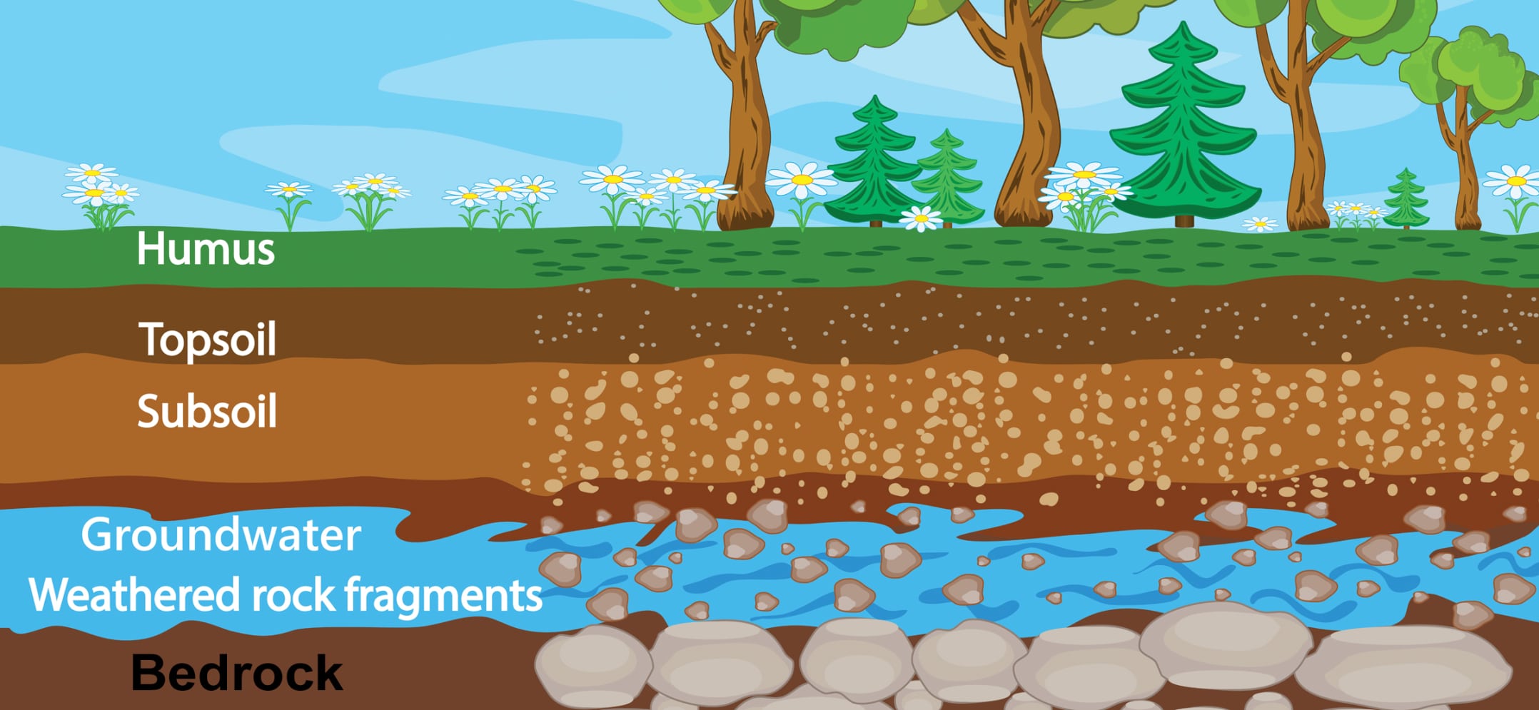 Soil layers